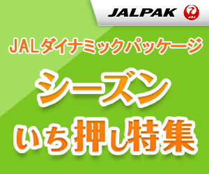 Jal国内線で受けられる裏技 サービス 子連れマタニティママの飛行機搭乗記録 凡人主婦の暮らしメモ