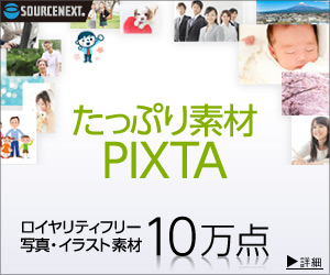 10万点収録のたっぷり素材 を90 オフで購入してみた