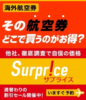 スクート Scoot の評判口コミや成田バンコク便搭乗記と機内食 座席の感想