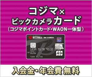 コジマ ビックカメラカードのメリット 特徴 コジマポイントカード機能を搭載したイオンカード お金ブログ