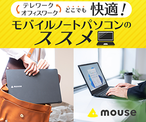 販売員が厳選する！】テレワークにおすすめな大画面17インチ