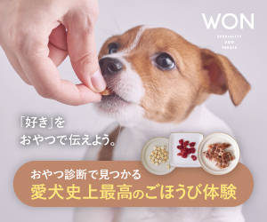 横浜を愛犬と一緒に楽しもう Osusumewa