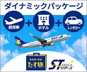 福岡空港発 羽田空港行 スカイマーク（SKY） 利用 国内ツアーのエアートーヨー