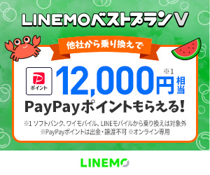 ネタバレ追加済み]ヨドバシ夢のお年玉箱2025中身-SIMフリー